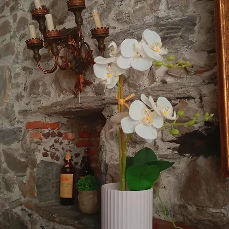 Dimora Della Torre A Due Passi Dal Mare Guest house